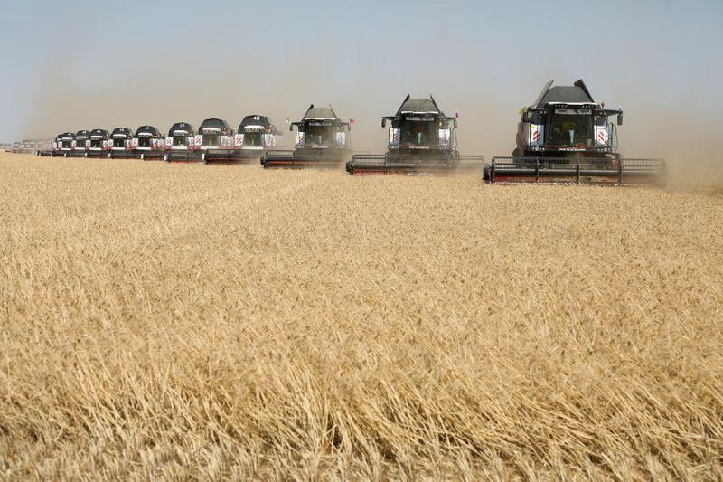 Экспортные цены пшеницы РФ выросли из-за сдержанных продаж со стороны фермеров
